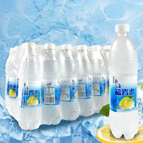 上海盐汽水柠檬味夏季喝的碳酸饮料整箱24瓶600ml